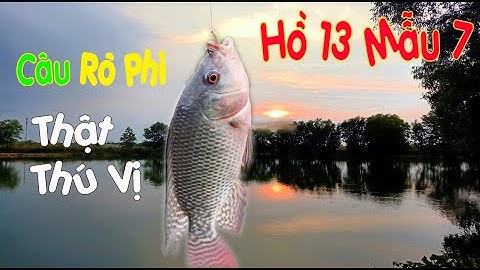 Câu Cá Hồ 13 Mẫu 7 Đức Hòa Long An Quá Trời Cá Rô Phi | 13 Mẫu 7 | Dã Ngoại Cùng Lan