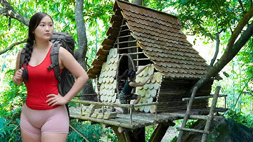 TIMELAPSE - I Built a Shelter Tree House in the Tropical Rainforest