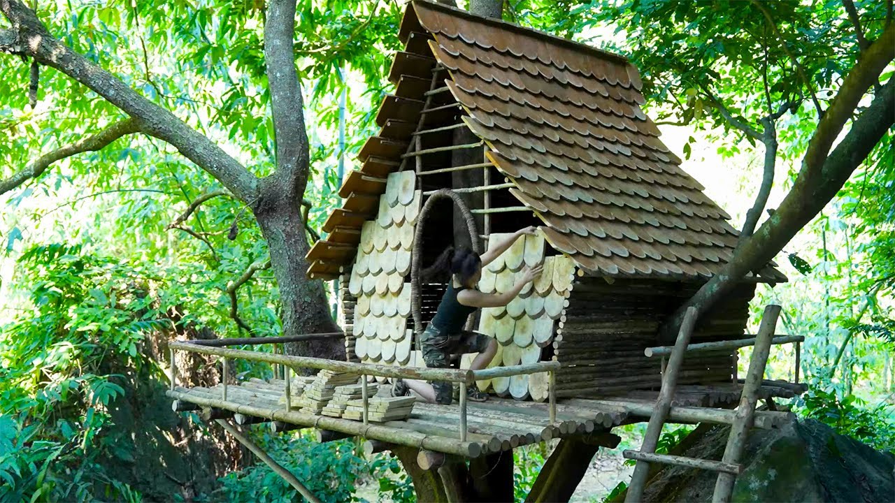 TIMELAPSE - I Built a Shelter Tree House in the Tropical Rainforest ...