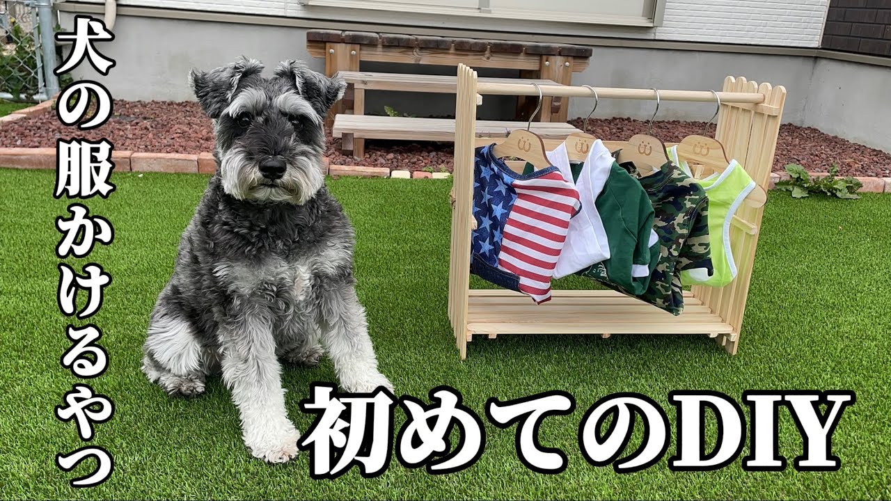 犬の服をかけるやつをdiy ミニチュアシュナウザー トイプードル シュナプー Youtube 犬の服をかけるやつをdiy ミニチュアシュナウザー トイプードル シュナプー Youtube