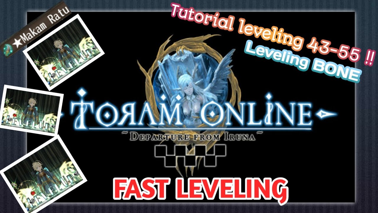 Tutorial Leveling Untuk Pemula level 4355 Toram online FAST