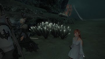 FFXIV Online Quest The Illuminated Land Part 2/2 [Patch 5.0]