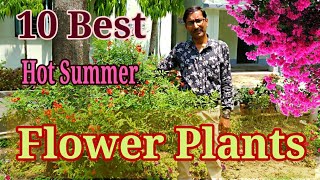 10 Best Permanent Heat Tolerant Flowering Plants For Full Sun