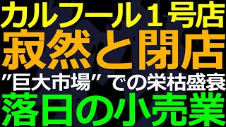 04-16 減少し続けるカルフールの店舗！後半は外食産業について