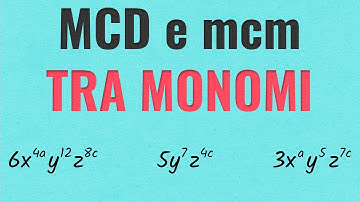 MCD e mcm tra Monomi