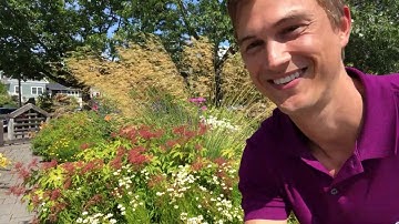 Ornmental Grasses in the Garden