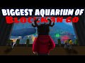 I built the biggest aquarium of blockman go 