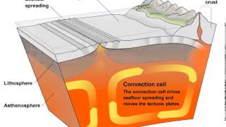Convection Currents and Tectonic Plate Movement