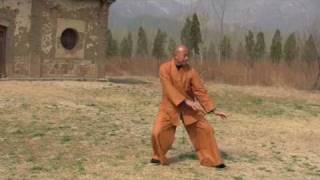 Shaolin Wugulun Kungfu - Lesson 1: Standing Exercises screenshot 5