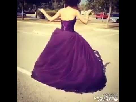 اغنية عايشة سنى وبغنى حالات واتس