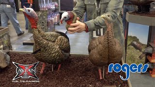 Avian-X Turkey Decoys