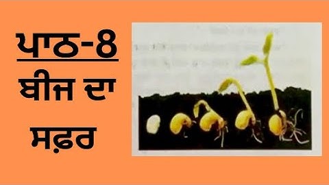 5 CLASS EVS LESSON-8(ਬੀਜ ਦਾ ਸਫ਼ਰ) BOOK READING, EASY SOLVED ANSWERS 