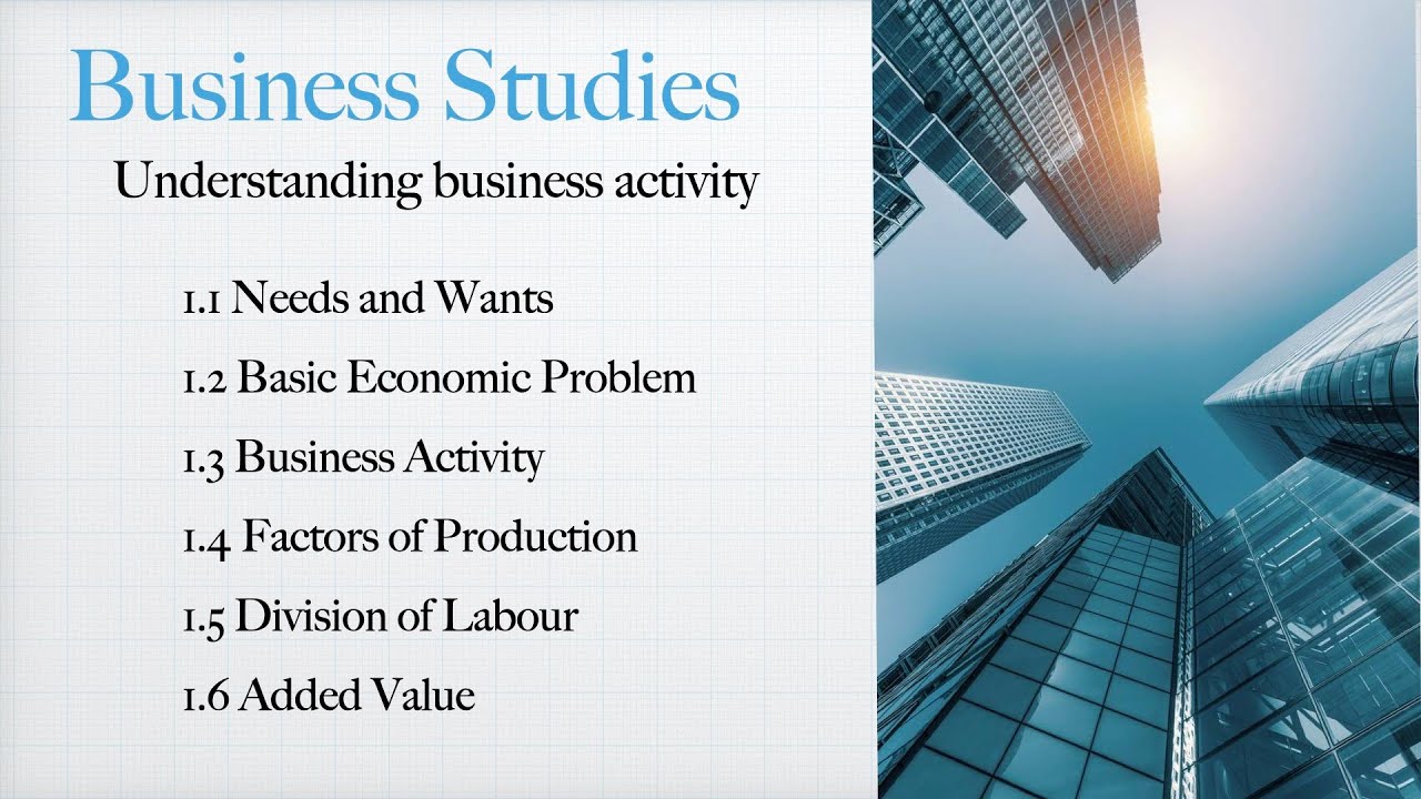 Busines Study Lessons Business Studies Lesson 1 - YouTube