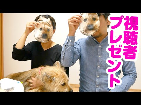 元野犬のポテ、オリジナルグッズをプレゼントします！