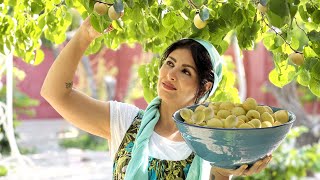 #28 Country Woman Harvesting Apricot And Making Persian Apricot Jam💛Daily Routine Life IRAN Village