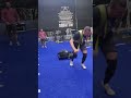 sled sprints