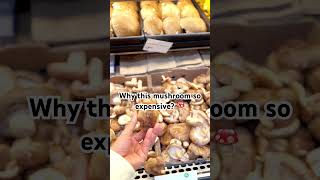 Expensive mushrooms ?? reels video mushrooms yummyfood monitaminutes