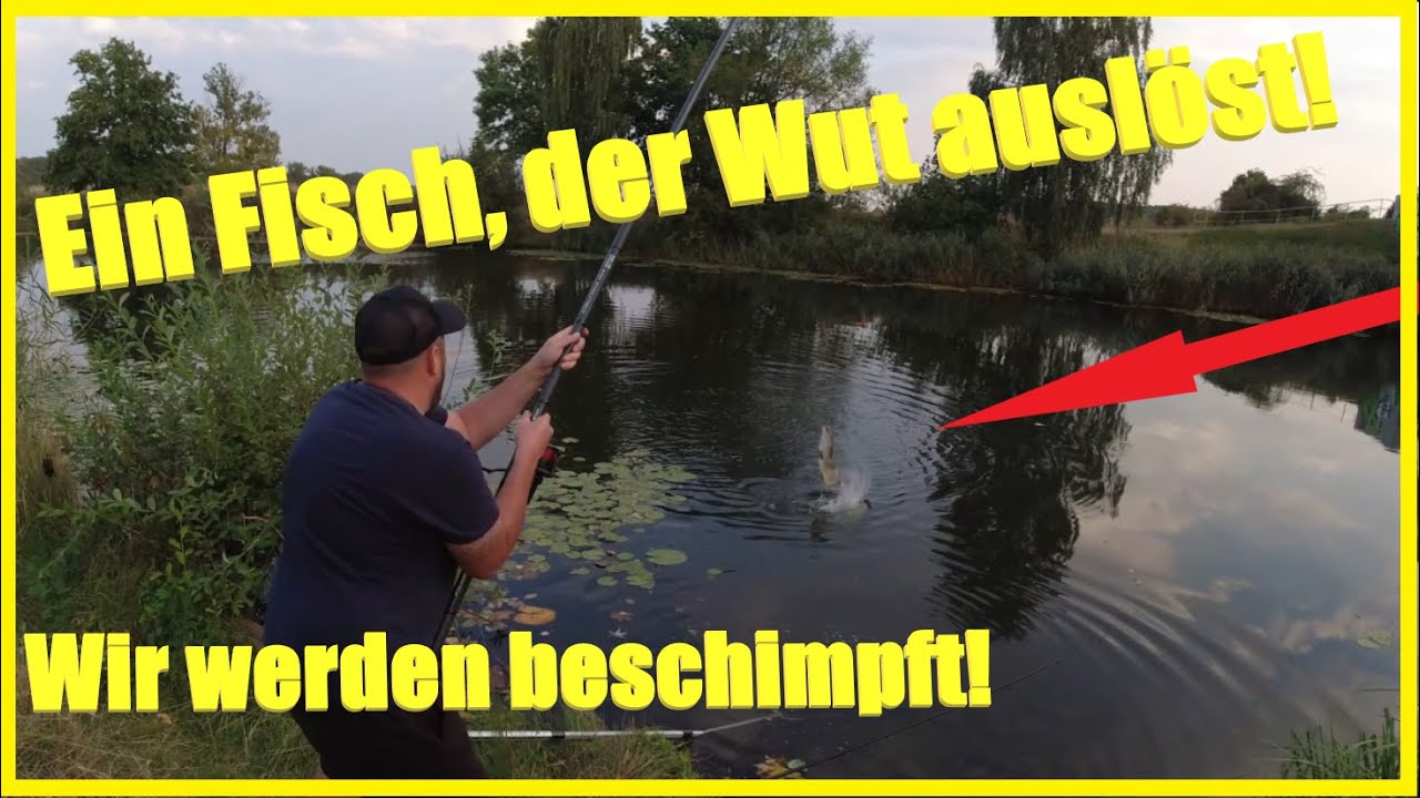 Angeln am Kanal mit Naturköder: Beißt Aal, Hecht, Barsch, Zander direkt unter der Rutenspitze?