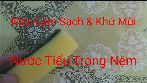 Mẹo Làm Sạch & Khử Mùi Nước Tiểu Trong Nệm