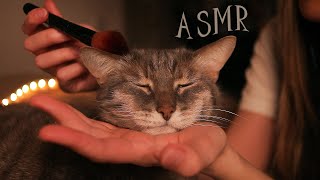 АСМР ДЛЯ КОТЕЙКИ 😻 МНОГОСЛОЙНЫЕ ТРИГГЕРЫ + МАССАЖ