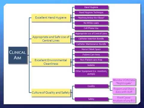 Clinical Quality Improvement Project Design & Development - Greg