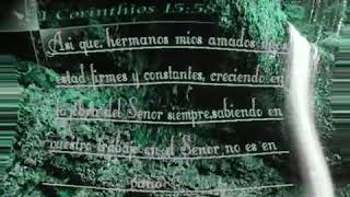 Video thumbnail of "Rondalla Bautista la Fe esfuerzate"