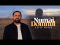 Elvis Moise Numai Domnul Videoclip Official 2025