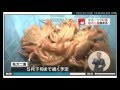かに漁