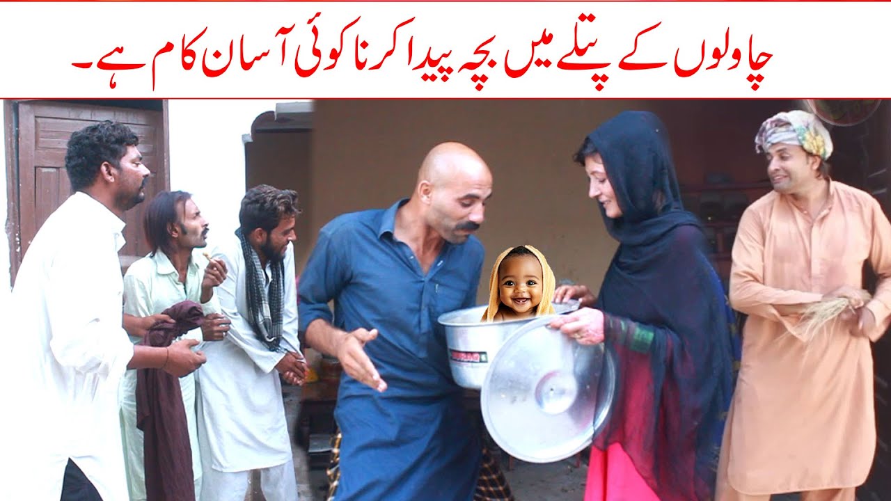 Funniest Fun Comedy Video 2025| Shamzi,Noori, Dani ,Airprt0011 , denghari, mani by Shamzi Tv