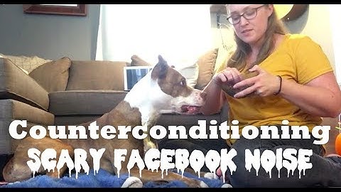 Counterconditioning SCARY NOISES- Training Tip Tuesday