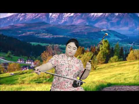 阿蕾二胡独奏《渴望》降B调37弦，经典老歌曲，听得人如痴如醉！
