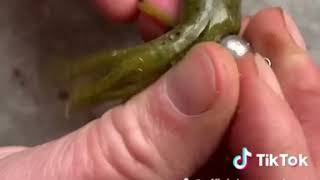 Goof-Ball Tube Jig - Fishing Lures - Venom Lures