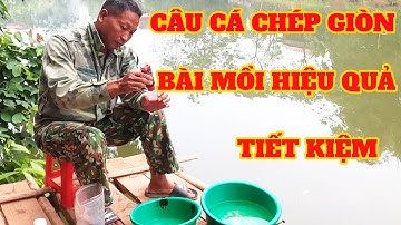 BÀI MỒI CÂU CÁ CHÉP GIÒN ĐƠN GIẢN VÀ HIỆU QUẢ CAO , DỄ LÀM  _ Câu Cá và Cuộc Sống