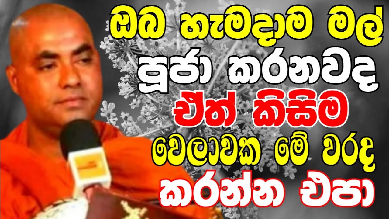 ඔබත් හැමදාම මල් පූජා කරනවාද? ඒත් කිසිම වෙලාවක මේ වරද කරන්න එපා | Ven Koralayagama Saranathissa Thero