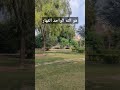Surah Zumur Ayat 3 Maqame Rast Jawabul ja #qariayubwazir wab