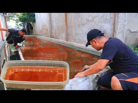 Video: Voedingsvoorstellen voor baby-koi (pasgeboren tot drie maanden)