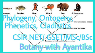 Phylogeny, Cladistics, Phenetics and Ontogeny