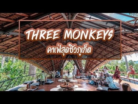 รีวิว คาเฟ่บนต้นไม้ แห่งเดียวในภูเก็ต TREE MONKEYS ทรี มังกี้ส์ เห็นแต่ใน Google ต้องมาดูของจริง