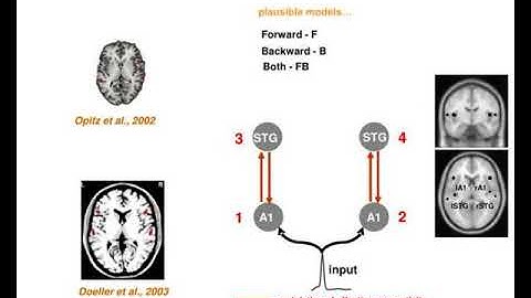 dynamic causal modelling for erp erfs