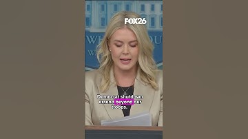 White House Press Secretary Karoline Leavitt tells Democrats to end the shutdown