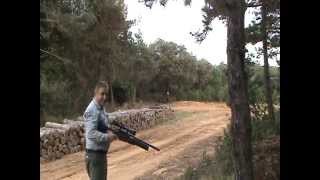 Daystate Airwolf Fx Revolution Semi-Automatic Air Rifle