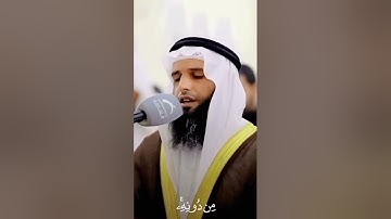 تلاوة خاشعة من سورة الزمر