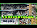 🔴OBRAS CAMP NOU (19 de Febrero)⚠️Desde las alturas 