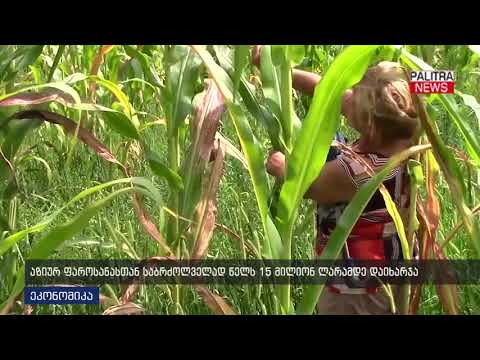 აზიურ ფაროსანასთან საბრძოლველად წელს 15 მილიონ ლარამდე დახარჯა