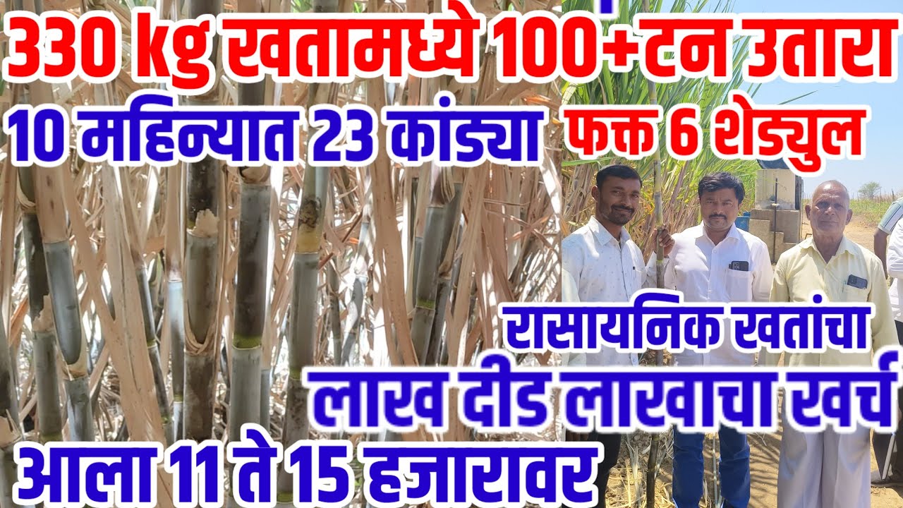 ऊस_शेती,वार्षिक 330kgखत,100+टन उतारा,10महिन्यात 23 कांड्या,रासायनिक खताचा खर्च एकरी 11-15 हजार #PIB
