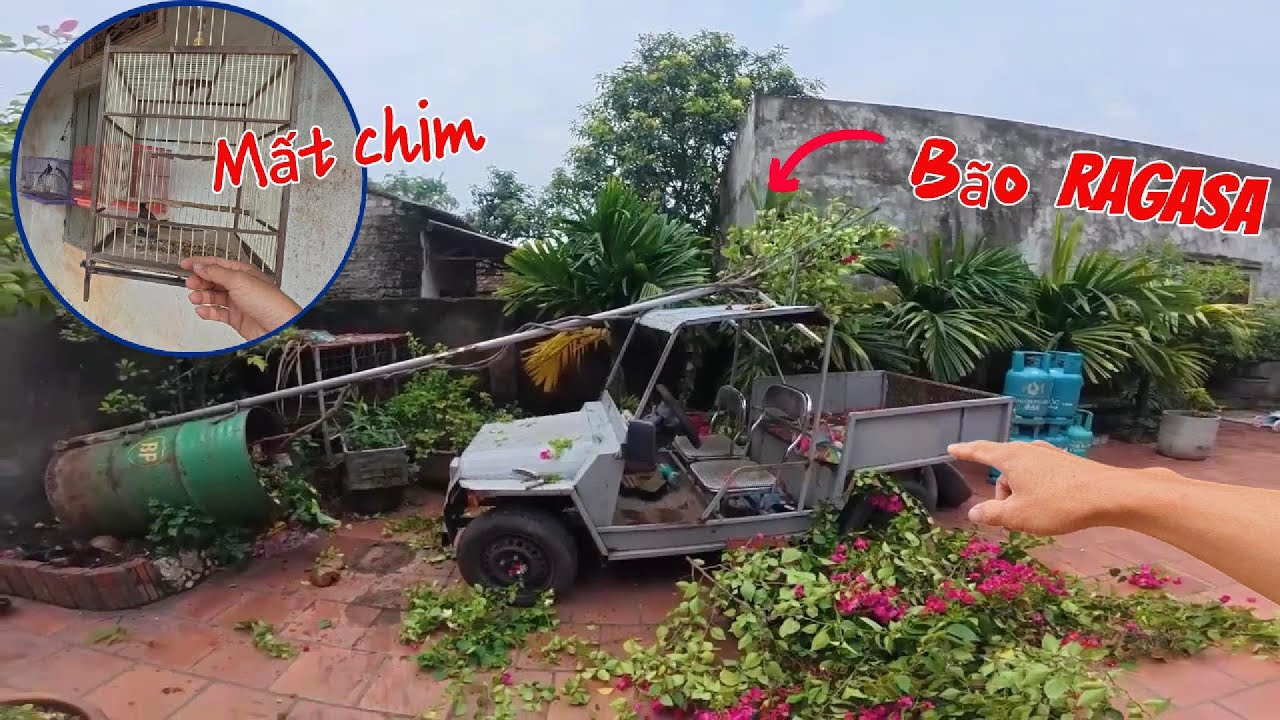 Chống Bão RASAGA - Chào Mào Non Đột Nhiên M.ất Tích Bí Ẩn Bỏ Nhà Đi Không Thấy Về/