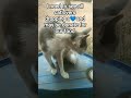 Consider Donating Consider Donating