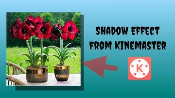 3D Shadow Effect In Kinemaster|| Shadow Effect In Kainmastar ||2021 | @manojdey