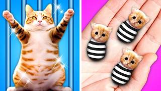 Rich vs Poor Built Secret Rooms for Cats in Jail! *Genius Pet Hacks, Funny Moments*