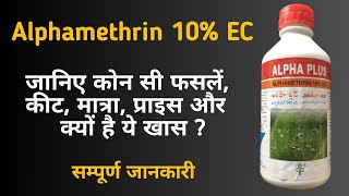 Alphamethrin 10% EC Insecticide | For leaf roll, stem borer and all types of pests in paddy crop.